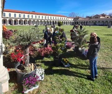 Collegno, la Certosa nuova casa del Torino Comics