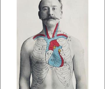 Libri sulla Luna: "Corpo, umano"