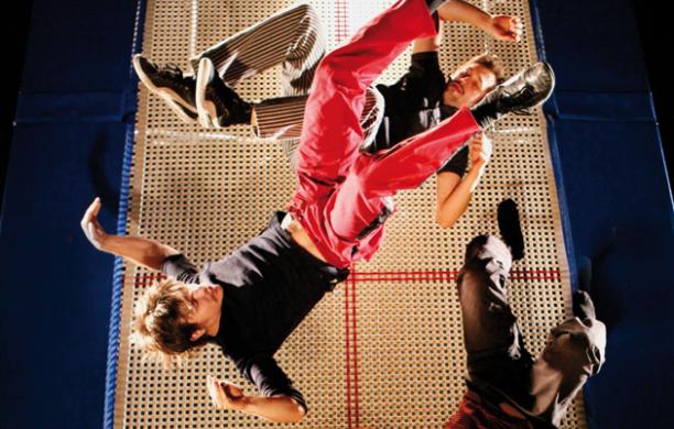 La Race Horse Company 