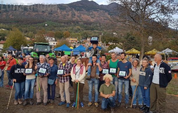 Una grande "Fiera agricola": allevatori in vetrina a Milanere