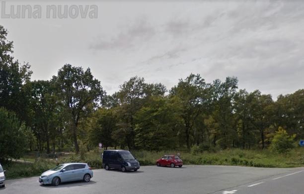 Grugliasco, travolto in piena notte sul ciglio della strada a Stupinigi