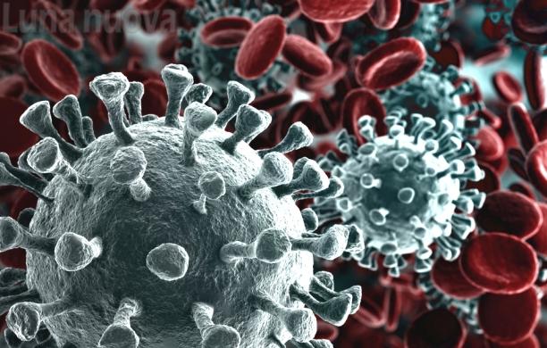 Coronavirus: salgono a 81 i casi in Piemonte, 11 a Torino