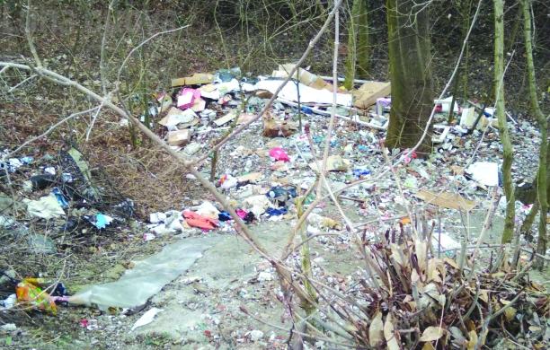 Rivoli, un'altra discarica a cielo aperto