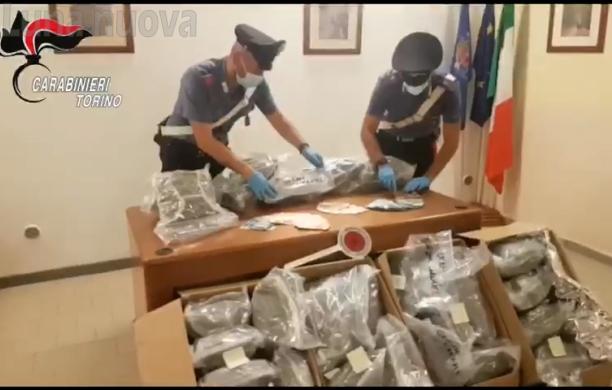 Orbassano, acciuffati con 31 chili di marijuana 