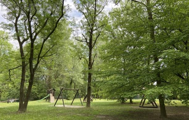 Il luogo dell&rsquo;aggressione, all&rsquo;interno del parco