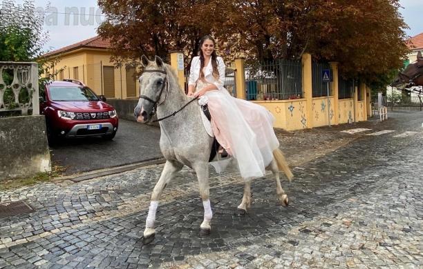 Buttigliara, botti di fine anno: il cavallo Tornado ucciso dal terrore