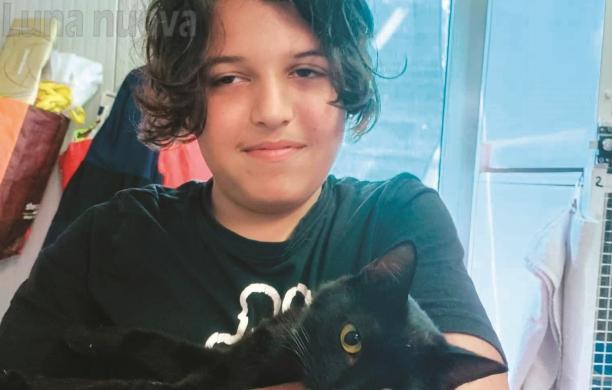 Da Alpignano a Rivalta sul furgone della spesa