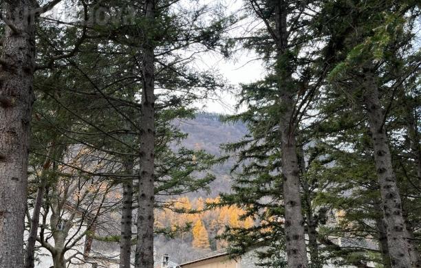 Il cammino dei pensieri attorno all'abbazia di Novalesa