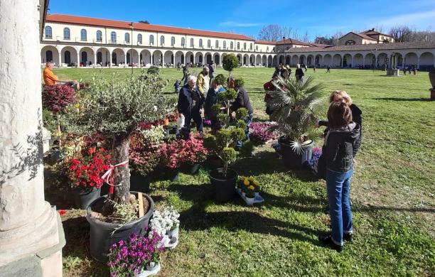 Collegno, la Certosa nuova casa del Torino Comics