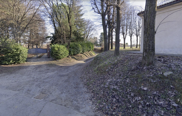 Rivalta, aggredita con il suo cani da quattro lupi cecoslovacchi