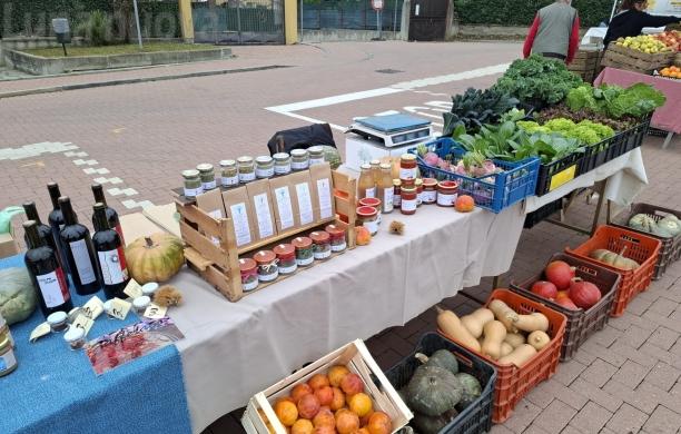 Il Movimento Terra: &laquo;Coldiretti tiene il piede in due scarpe sul consumo di suolo&raquo;
