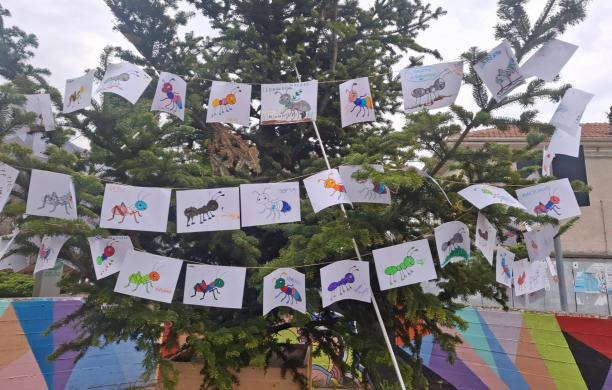 Caprie, vittime delle mafie: in piazza Matteotti "L&rsquo;albero della legalit&agrave;"