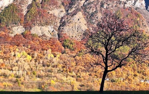 "La mia foto alla Luna" fa rotta sul pianeta Flora