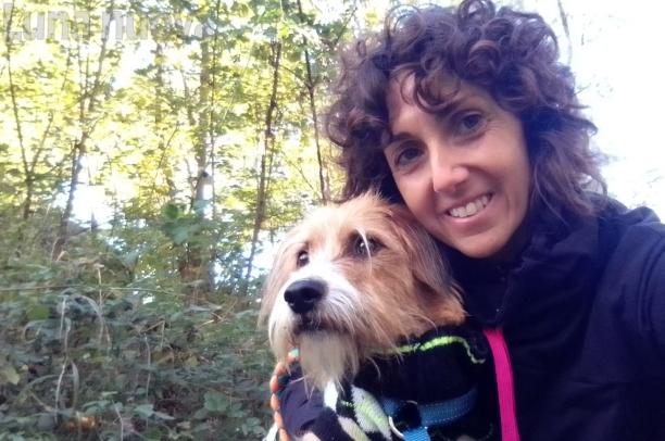 Villar Dora, assalita dai cani lasciati in libert&agrave; dai padroni: &laquo;Solo negligenza umana&raquo;