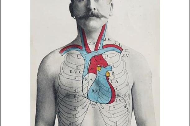 Libri sulla Luna: "Corpo, umano"